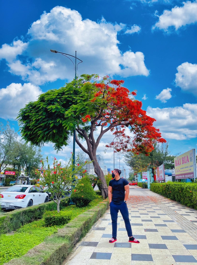 Dân tình “bấn loạn” trước cây phượng hai màu đang “sốt xình xịch” ở Vũng Tàu, rủ nhau đến check-in rần rần - Ảnh 11. Dân tình “bấn loạn” trước cây phượng hai màu đang “sốt xình xịch” ở Vũng Tàu, rủ nhau đến check-in rần rần - Ảnh 11.