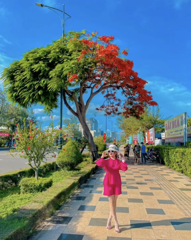 Dân tình “bấn loạn” trước cây phượng hai màu đang “sốt xình xịch” ở Vũng Tàu, rủ nhau đến check-in rần rần - Ảnh 13. Dân tình “bấn loạn” trước cây phượng hai màu đang “sốt xình xịch” ở Vũng Tàu, rủ nhau đến check-in rần rần - Ảnh 13.