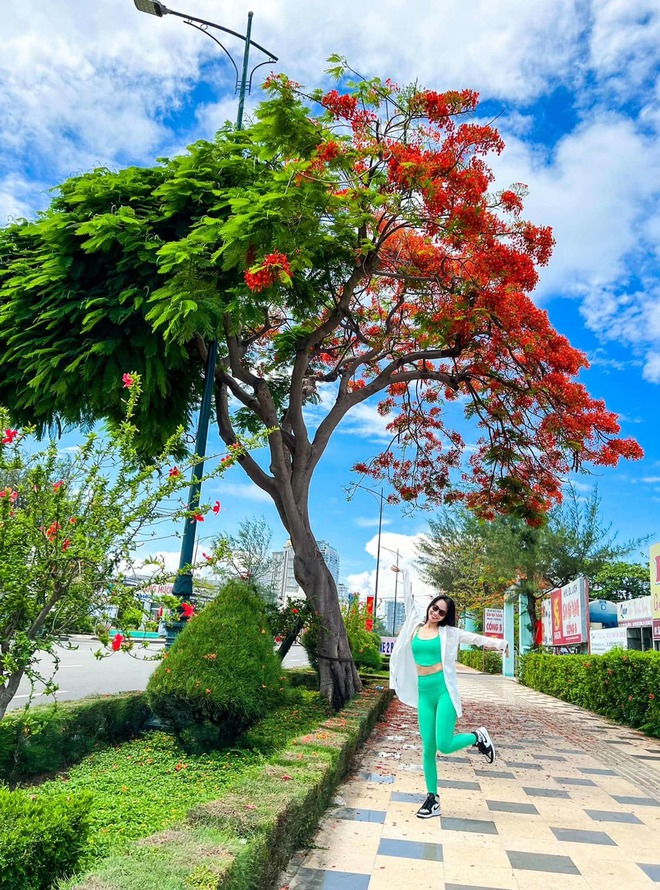 Dân tình “bấn loạn” trước cây phượng hai màu đang “sốt xình xịch” ở Vũng Tàu, rủ nhau đến check-in rần rần - Ảnh 10. Dân tình “bấn loạn” trước cây phượng hai màu đang “sốt xình xịch” ở Vũng Tàu, rủ nhau đến check-in rần rần - Ảnh 10.