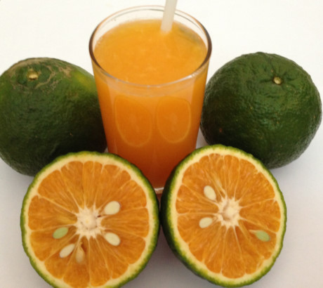 Những người thường xuyên uống nước cam nhất định phải biết điều này - Ảnh 1.