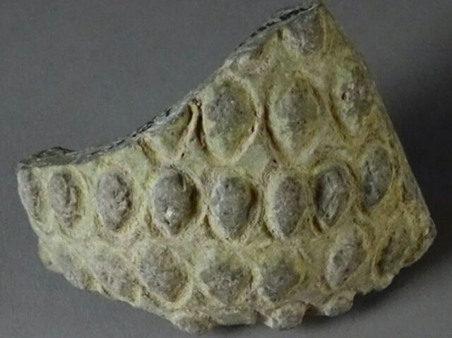 Các nhà khảo cổ vừa tìm thấy một quả lựu đạn hơn 1.000 năm tuổi - Ảnh 4.