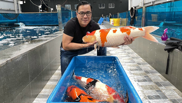 ‘Vua cá Koi’ Thắng Ngô: Từng kinh doanh BĐS và nợ như ‘chúa Chổm’, giờ là đại gia chơi siêu xe có tiếng, sở hữu siêu thị cá Koi lớn hàng đầu thế giới - Ảnh 2.