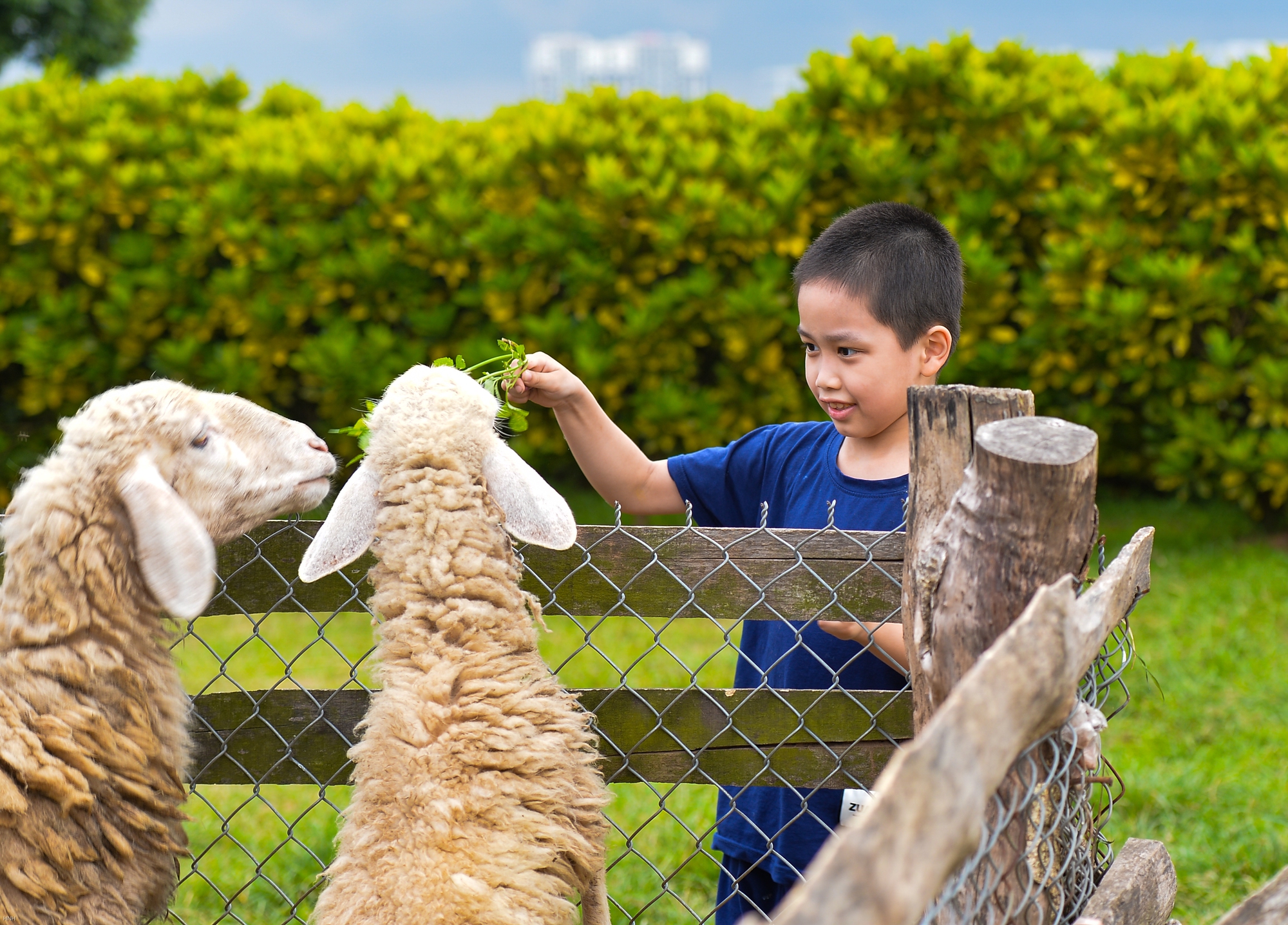 Bãi sông Hồng đông nghịt người cắm trại, vui chơi ngày cuối tuần - Ảnh 7.