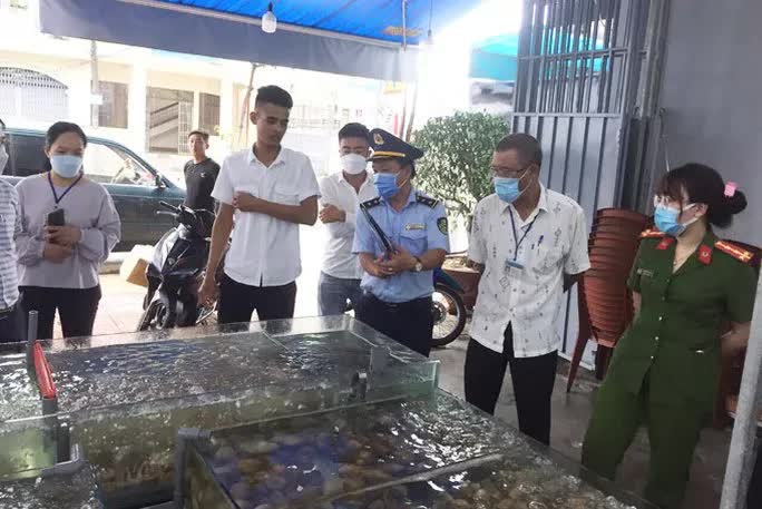 Kết luận của lãnh đạo TP Nha Trang vụ hóa đơn hải sản 42,5 triệu đồng - Ảnh 2. Kết luận của lãnh đạo TP Nha Trang vụ hóa đơn hải sản 42,5 triệu đồng - Ảnh 2.