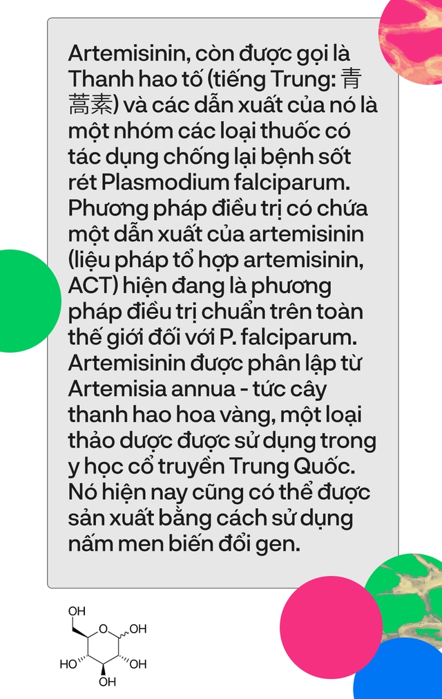 8 nghiên cứu đã thay đổi thế giới mà bạn chưa từng nghe tới - Ảnh 4.