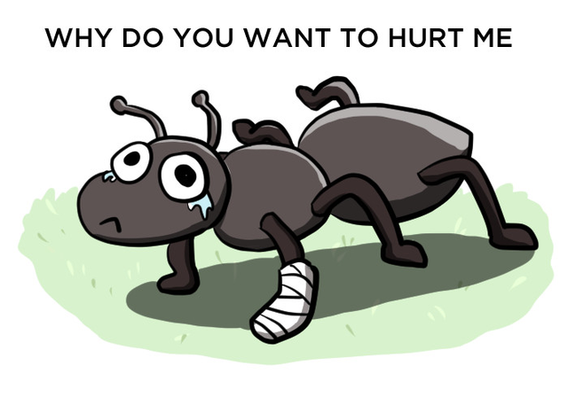 Nếu bạn thả một con kiến rơi từ tầng 63 xuống đất, liệu nó có chết không? - Ảnh 1.