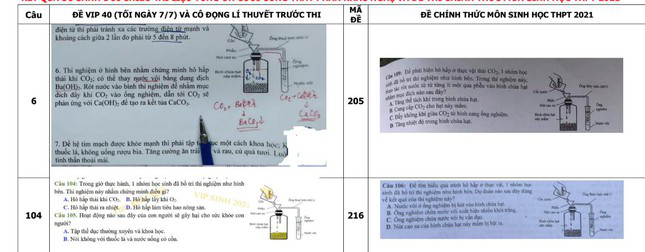  Lùm xùm đề thi môn Sinh tốt nghiệp THPT: Trách nhiệm của Bộ GD&ĐT ở đâu?  - Ảnh 1.