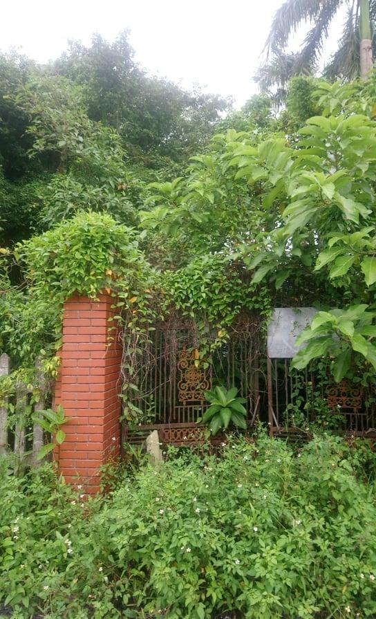 Cận cảnh căn nhà cũ hoang tàn, bằng chứng cho nỗ lực chiến đấu vì gia đình của Bùi Hoàng Việt Anh - Ảnh 2.