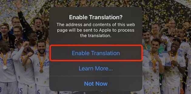 Hướng dẫn dịch trang web trên iOS 16 khi đã có tiếng Việt - Ảnh 4.