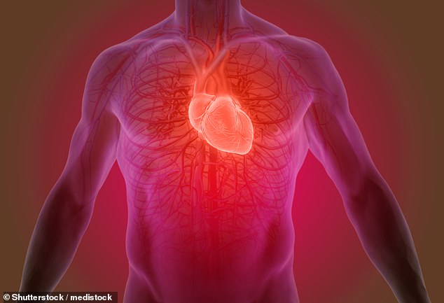 Loại keo thần kỳ có thể ‘vá’ mô tổn thương cho người bị đau tim - Ảnh 1.