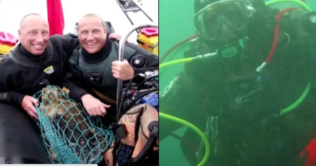 Phát hiện bí mật dưới đáy đại dương, thợ lặn phải giấu kín suốt 15 năm - Ảnh 1.