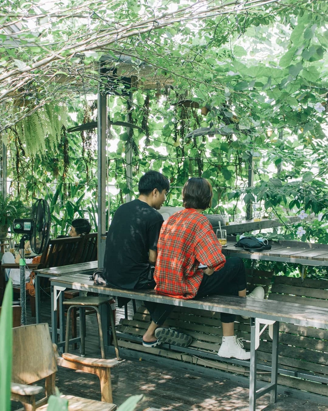 6 quán cà phê sân vườn xanh mát để gia đình, bạn bè cùng nhau trốn cái nắng nóng, ngột ngạt hiện nay ở TP.HCM - Ảnh 25.