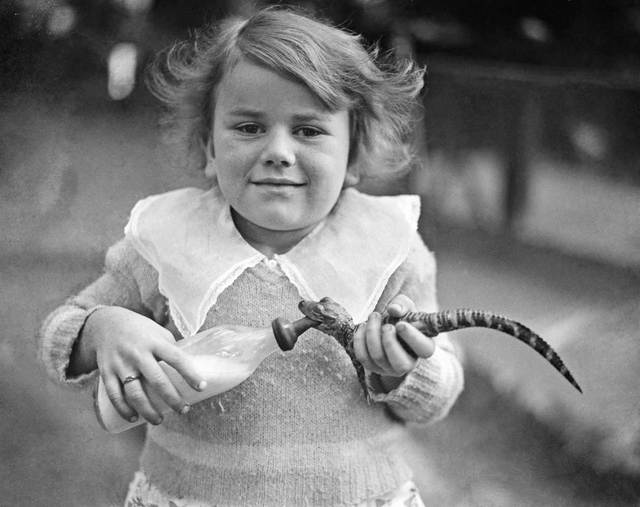 Những bức ảnh hiếm hoi về trại cá sấu những năm 1920 tại California, nơi trẻ em có thể cưỡi và chơi với cá sấu! - Ảnh 5.