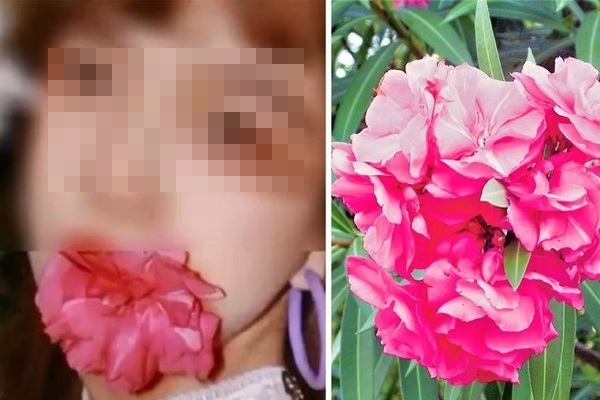 Nữ sinh ngộ độc nhập viện sau khi ngậm hoa để chụp ảnh “sống ảo” - Ảnh 1.