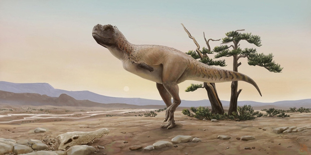 Phát hiện loài khủng long mặt chó bull, tựa như phiên bản nâng cấp của khủng long bạo chúa - Ảnh 1.