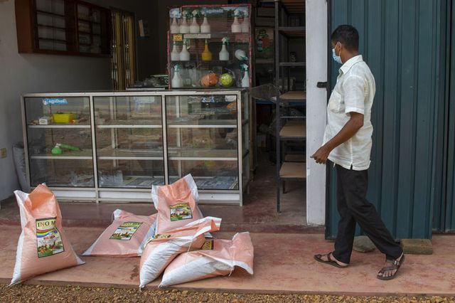 Sri Lanka và cuộc khủng hoảng tồi tệ chưa từng có: Nông dân ngừng cấy lúa, người lao động được nghỉ ở nhà để tự cung tự cấp lương thực  - Ảnh 2.