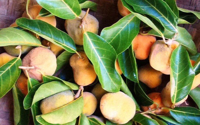 Chị em đổ xô mua quả chay, giá 80.000 đồng/kg - Ảnh 1.