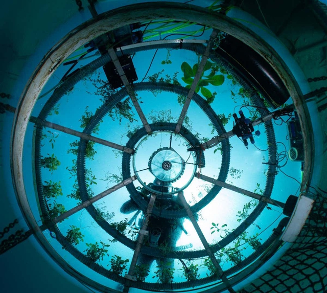Phép màu khoa học: Nemo Garden, trang trại trồng rau dưới đáy biển - Ảnh 3.