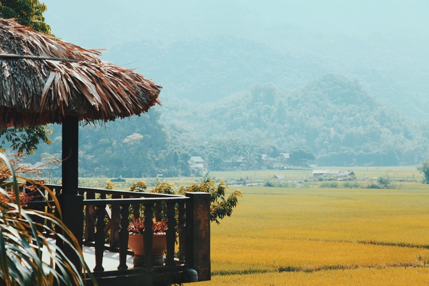 Mai Châu đang là thiên đường lúa chín đầu hạ đẹp nhất nhì vùng Tây Bắc, thu hút rất nhiều bạn trẻ đến chụp ảnh - Ảnh 11.