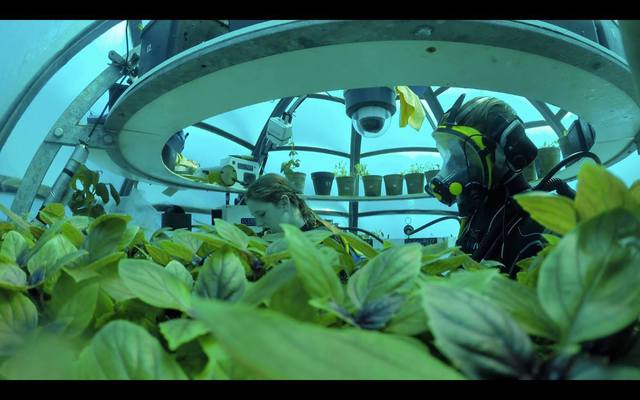 Phép màu khoa học: Nemo Garden, trang trại trồng rau dưới đáy biển - Ảnh 8.