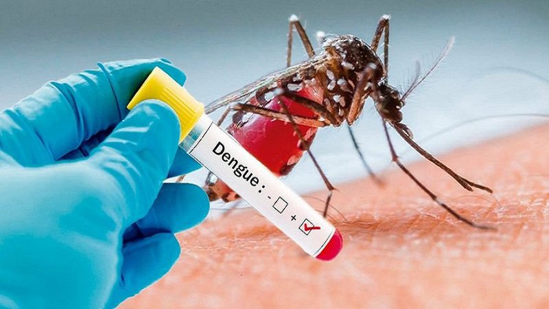 Hứa hẹn phát triển vaccine ngừa sốt xuất huyết từ nước bọt của muỗi - Ảnh 1. Hứa hẹn phát triển vaccine ngừa sốt xuất huyết từ nước bọt của muỗi - Ảnh 1.