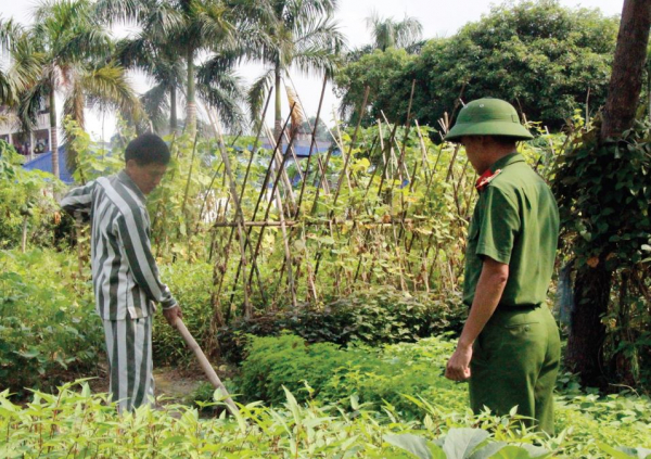 Bắt hay không bắt? - Ảnh 3.