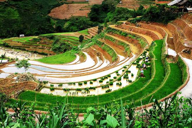 Mãn nhãn với cảnh sắc lấp lánh Tây Bắc mùa nước đổ, địa điểm lí tưởng để du lịch “giải nhiệt” mùa hè - Ảnh 4.