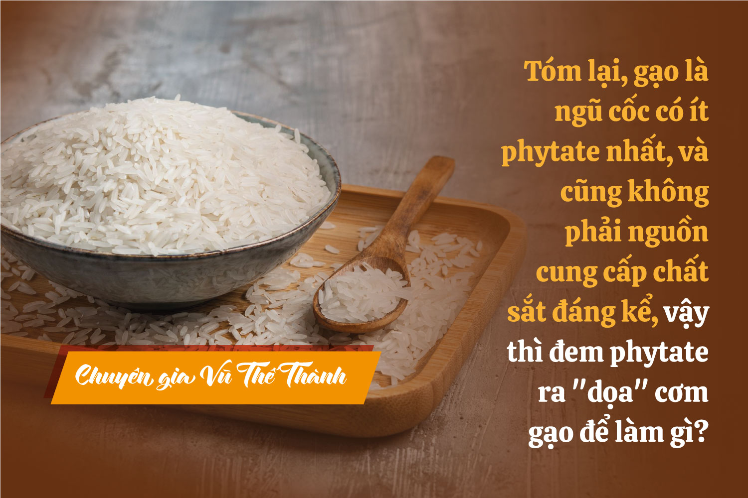 Chuyên gia Vũ Thế Thành: Gạo mà gây thiếu sắt được sao? - Ảnh 3.