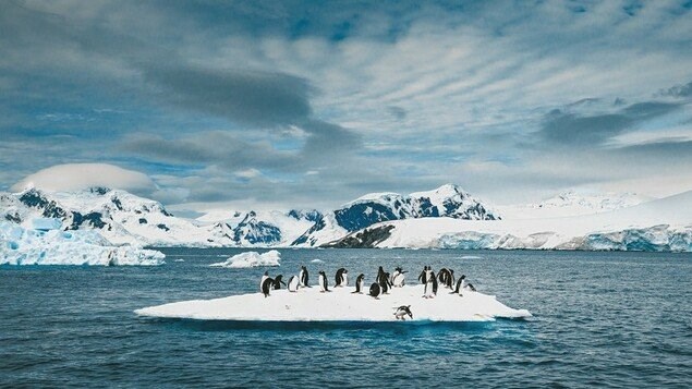 Sông băng Doomsday ở Nam Cực tan nhanh nhất trong 5.500 năm - Ảnh 2.