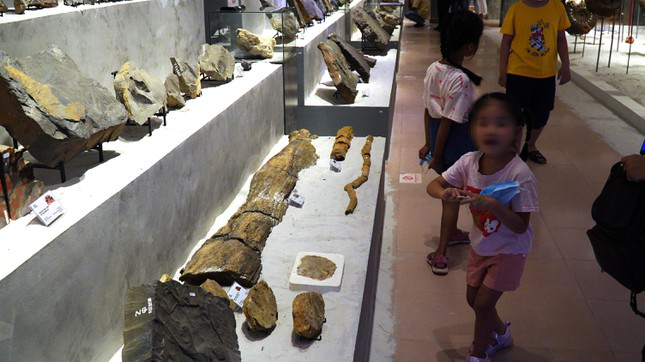 Phiến đá cổ có niên đại ‘khủng’ 2,9 tỷ năm được trưng bày tại Huế - Ảnh 12.