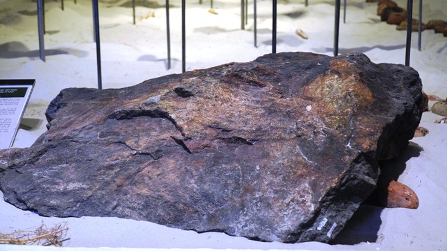 Phiến đá cổ có niên đại ‘khủng’ 2,9 tỷ năm được trưng bày tại Huế - Ảnh 15.