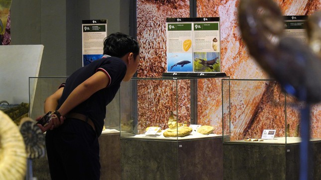 Phiến đá cổ có niên đại ‘khủng’ 2,9 tỷ năm được trưng bày tại Huế - Ảnh 16.