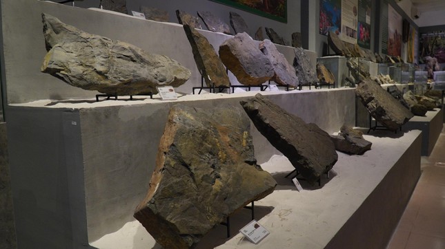 Phiến đá cổ có niên đại ‘khủng’ 2,9 tỷ năm được trưng bày tại Huế - Ảnh 4.