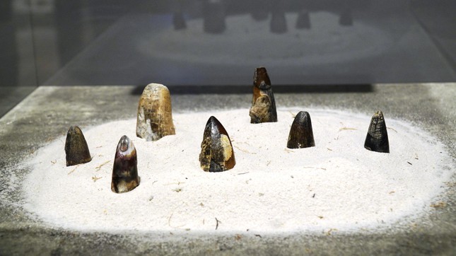 Phiến đá cổ có niên đại ‘khủng’ 2,9 tỷ năm được trưng bày tại Huế - Ảnh 11.