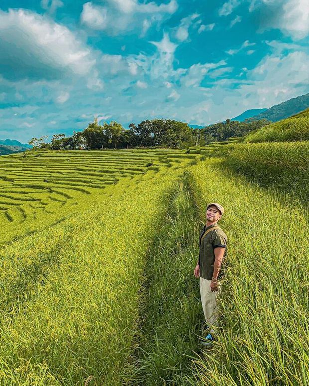 Pù Luông đang vào mùa lúa chín đẹp nhất trong năm: Nhất định phải đi vì góc nào đứng vào cũng rất thơ - Ảnh 6.