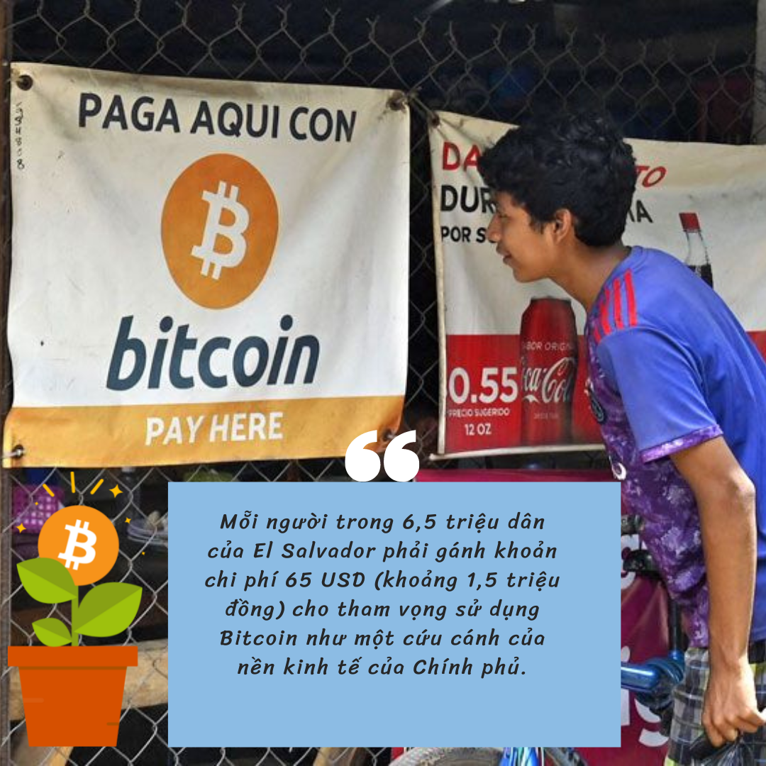  Tổng thống mang gần nửa tỷ USD quốc khố đặt vào canh bạc Bitcoin, mỗi người dân El Salvador phải gánh bao nhiêu tiền?  - Ảnh 1.