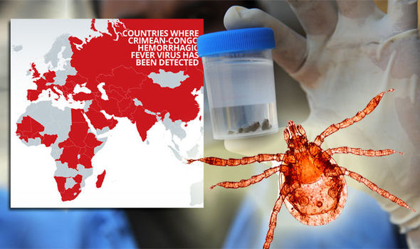Nga tìm ra chủng bệnh sốt xuất huyết Crimean-Congo mới nguy hiểm - Ảnh 1.