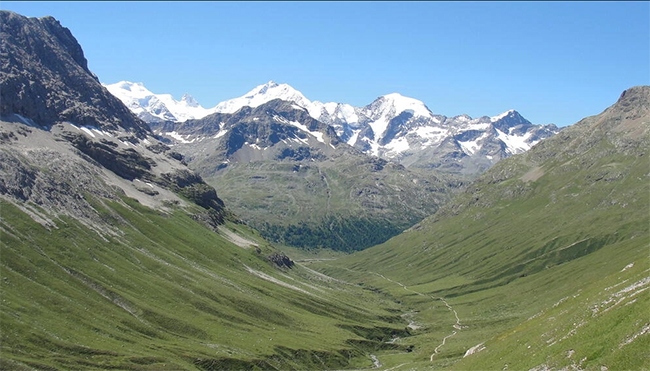 Tuyết tan chảy, đỉnh Alps đang xanh hóa mạnh mẽ - Ảnh 1.