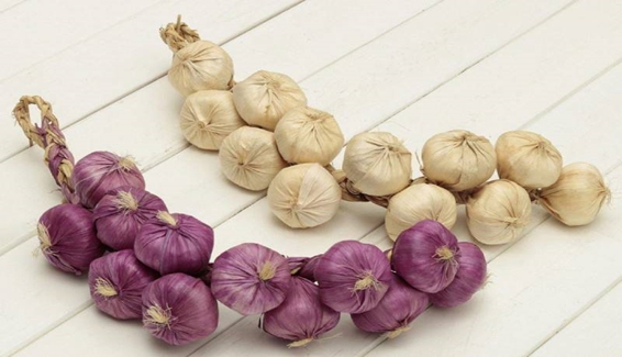 Should I go to the market to buy white garlic or purple garlic, is it good for health?  - Photo 1.