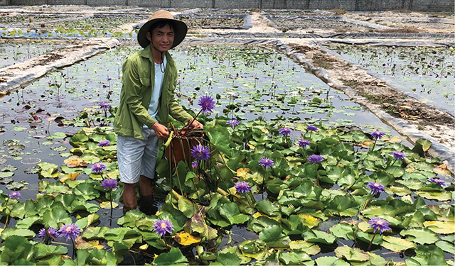 Những chàng trai, cô gái trẻ đổi đời nhờ... hoa - Ảnh 4.