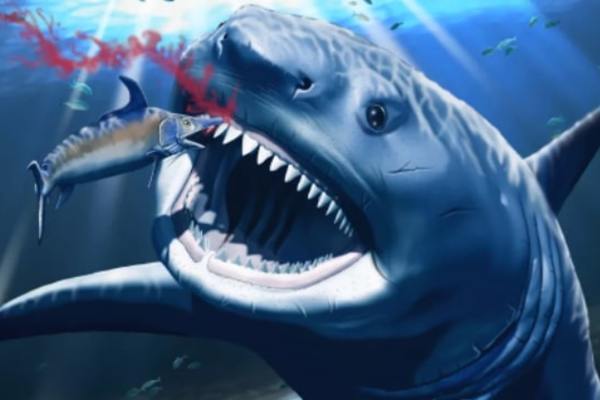 Sinh vật nhỏ gây ra cơn đau răng khủng khiếp cho siêu cá mập Megalodon - Ảnh 1.