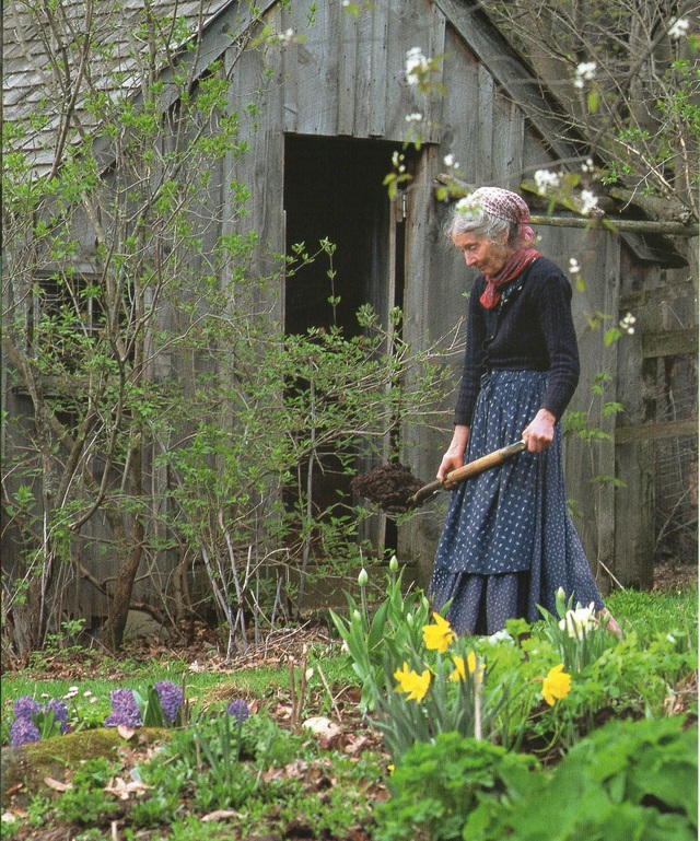 Hidden behind the divorce, the old female artist lives in a beautiful fairy-tale house, taking care of the garden by herself, raising goats for milk - Photo 2.