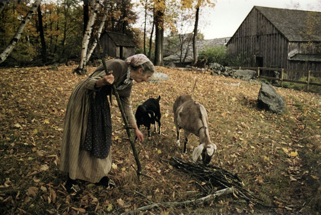 Hidden behind a divorce, an old female artist lives in a beautiful fairy-tale house, taking care of the garden with her own hands, raising goats for milk - Photo 6.