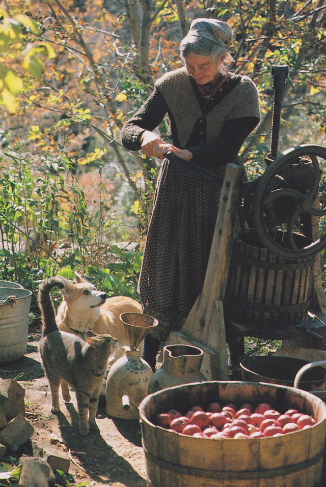 Hidden behind a divorce, an old female artist lives in a beautiful fairy-tale house, taking care of the garden with her own hands, raising goats for milk - Photo 8.