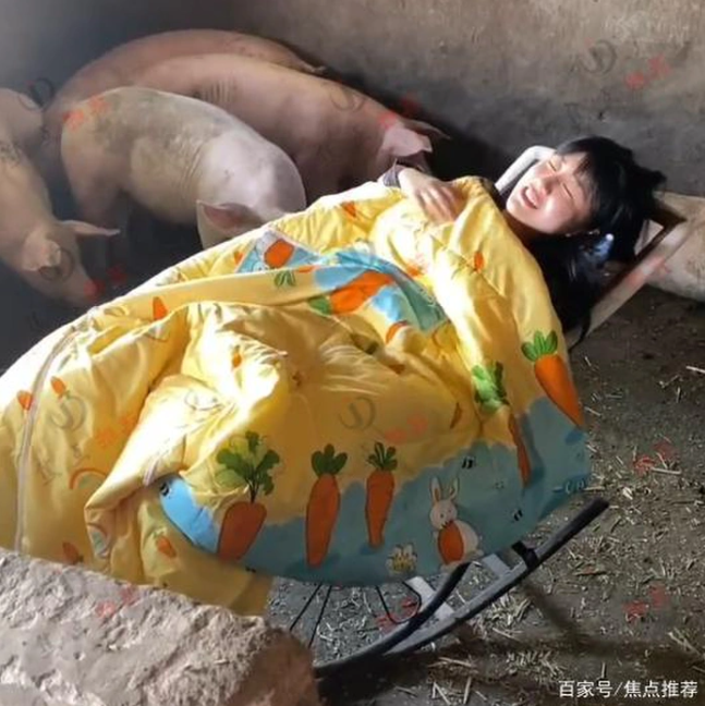 A young girl who has a hobby of sleeping in a pigsty makes the online community controversial - Photo 1.