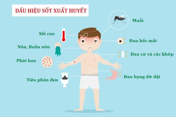 Dấu hiệu chứng tỏ trẻ sốc sốt xuất huyết và cách xử trí đúng - Ảnh 1.