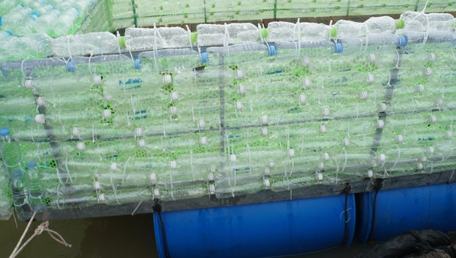 Unique boat made from 2,500 plastic bottles in the middle of Hau River - Photo 6.