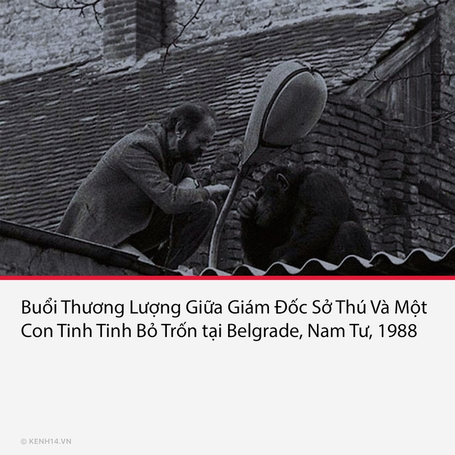 17 bức ảnh lịch sử mang tính bước ngoặt trong lịch sử nhân loại - Ảnh 8.