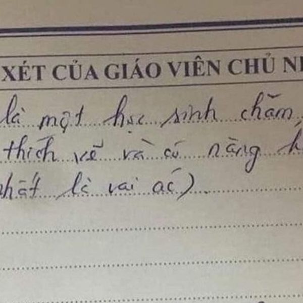 Cô giáo để lại lời phê bá đạo, phụ huynh cười ra nước mắt không biết là khen hay chê - Ảnh 1.