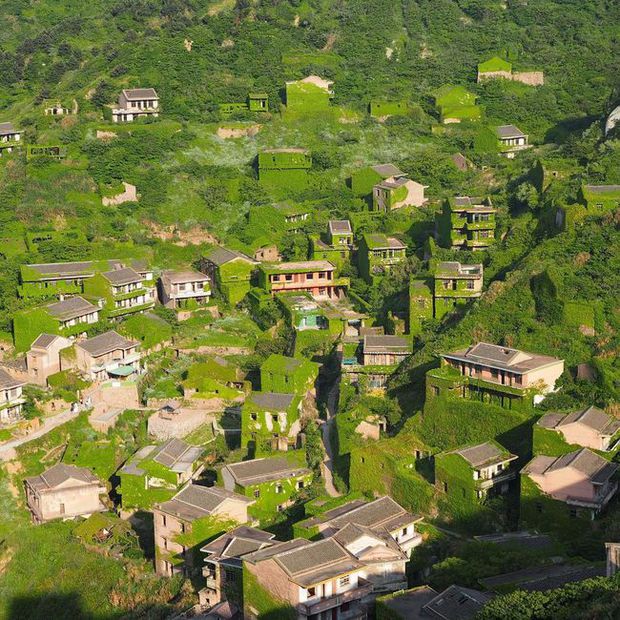 The unfortunate village in China: The richest but abandoned, now becoming a sought-after green gem - Photo 3.